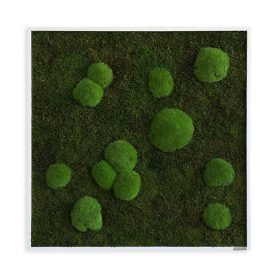 Moosbild: Wald- und Kugelmoosbild 80x80cm