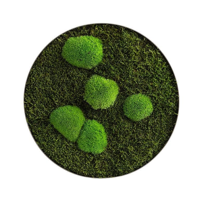 styleGREEN_Wald-und-Kugelmoos_Mooskreis_frontal_D34_sG-Kr-WKm-d34-ES Moosbilder