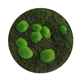 Moosbild: Wald- und Kugelmoos Kreis 54cm