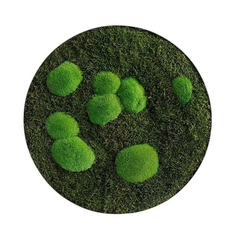 styleGREEN_Wald-und-Kugelmoos_Mooskreis_frontal_D54_sG-Kr-WKm-d54-ES Moosbild: Wald- und Kugelmoos Kreis 54cm – Hochwertig & günstig bei ShopDeca