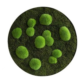 Moosbild: Wald- und Kugelmoos Kreis 80cm