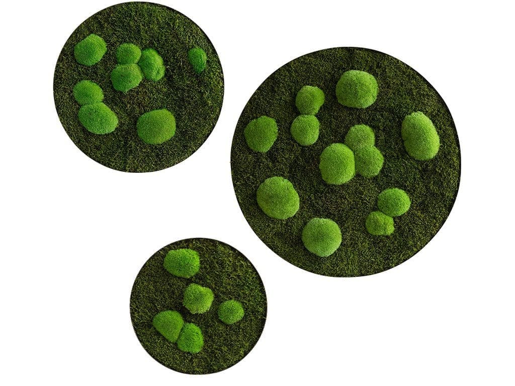styleGREEN_Wald-und-Kugelmoos_Mooskreise_3er_Set_-sG-Kr-WKm-3er-ES_Web Moosbild: Wald- und Kugelmoos Kreise 3er Set – Hochwertig & günstig bei ShopDeca