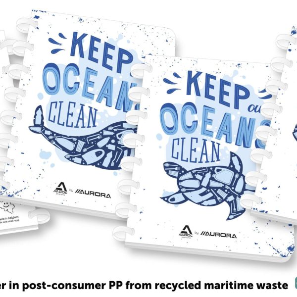 ADOC Ringbuch A5 3055.2 weiss-blau, kariert 144 Seiten