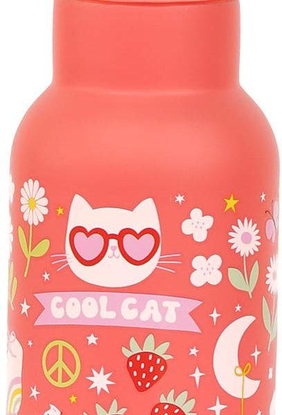 ALLC Trinkflasche 350ml DBSSFU79 Fun
