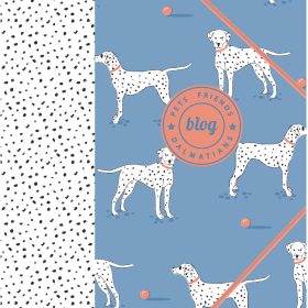 ANCOR Gummibandmappe A4 105438 PET FRIENDS blau