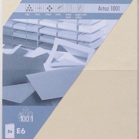 ARTOZ Karten 1001 E6 107372262 220g, chamois 5 Blatt