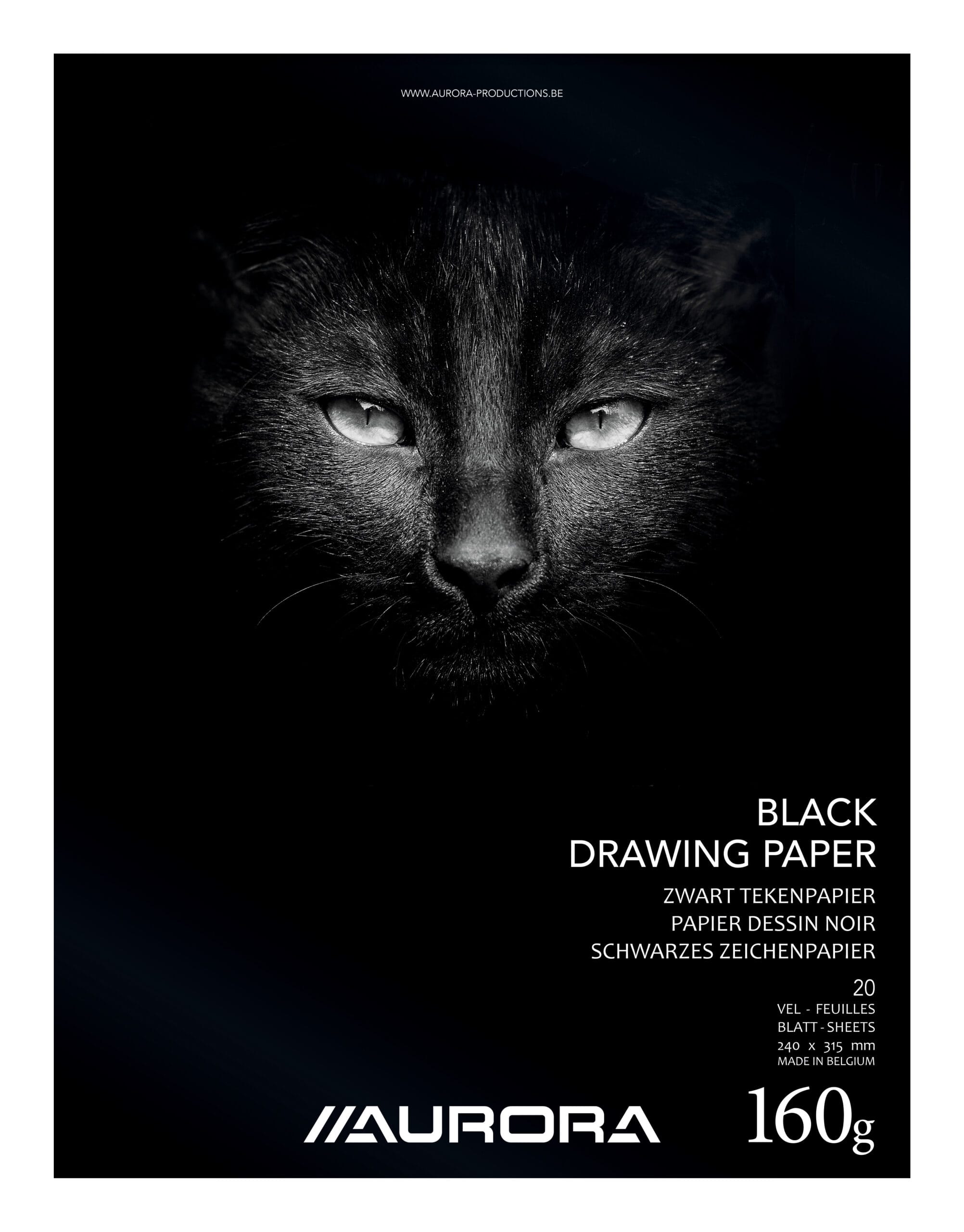 AURORA-BL33-5411028074181 AURORA Zeichenblock 24X31,5cm BL33 schwarz, 160g 20 Blatt – Hochwertig & günstig bei ShopDeca