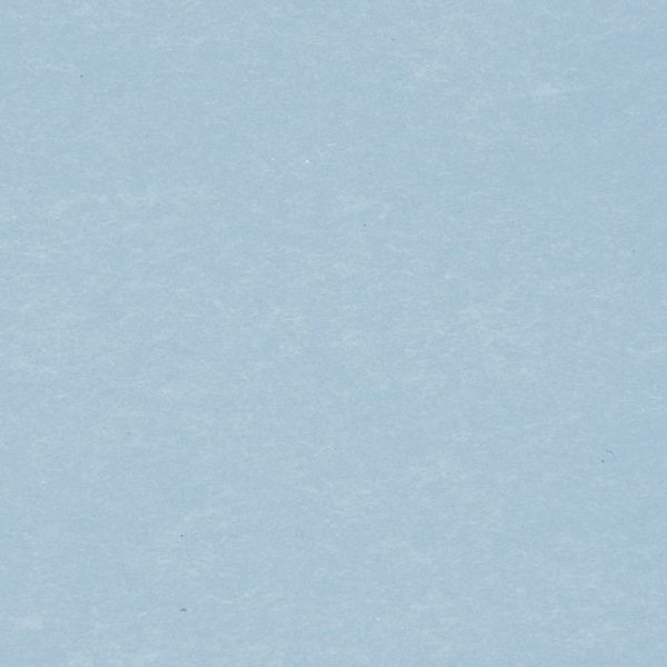 BIELLA Trennstreifen Karton 2 Loch 19919005U blau, 24x10.5cm 100 Stk.