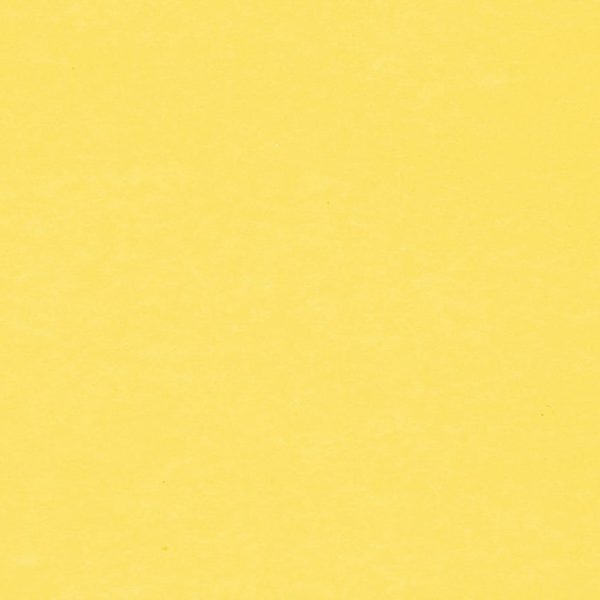 BIELLA Trennstreifen Karton 2 Loch 19919020U gelb, 24x10.5cm 100 Stk.