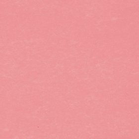 BIELLA Trennstreifen Karton 2 Loch 19919045U rot, 24x10.5cm 100 Stk.
