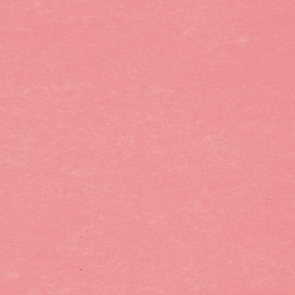 BIELLA Trennstreifen Karton 2 Loch 19919045U rot, 24x10.5cm 100 Stk.