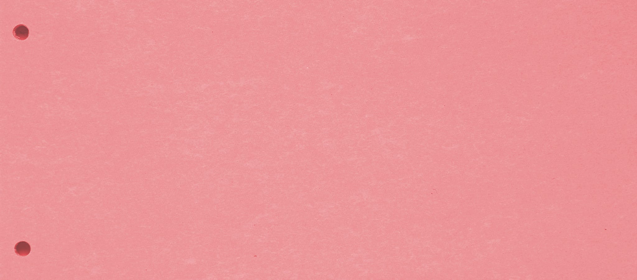 BIELLA-19919045U-7611365357536 BIELLA Trennstreifen Karton 2 Loch 19919045U rot, 24x10.5cm 100 Stk. – Hochwertig & günstig bei ShopDeca