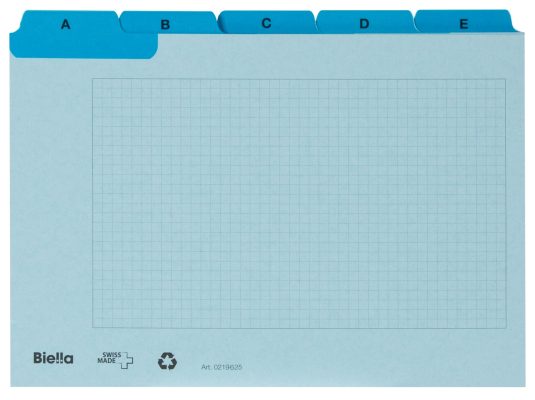 Karteien, Karteikarten