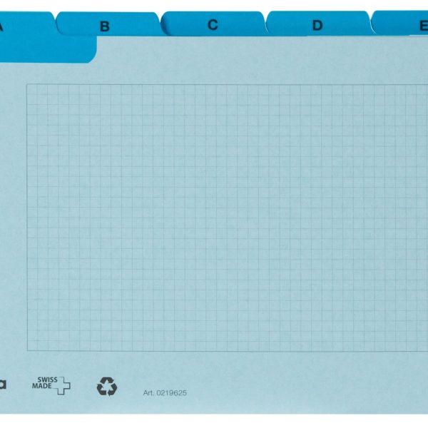 Karteien, Karteikarten