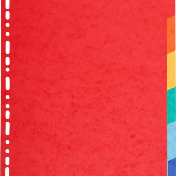 BIELLA Kartonregister Top Color A4 47940600U intensiv 6-teilig