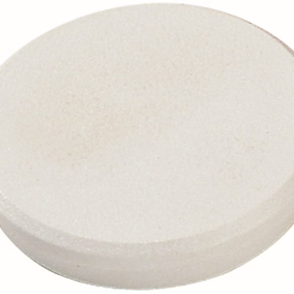 DAHLE Magnete 95532-21400 10 Stk. 32mm weiss