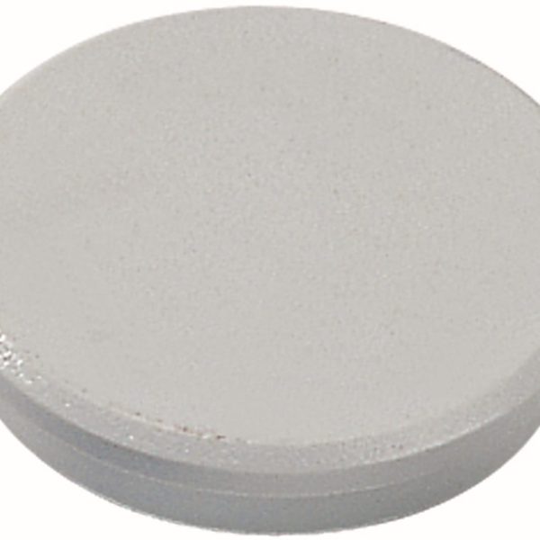 DAHLE Magnete 95532-21506 10 Stk. 32mm grau