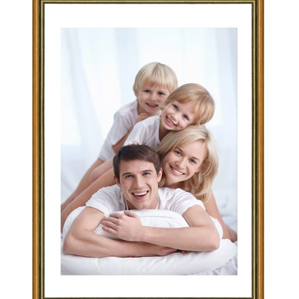 DEBEX Wechselrahmen 21x29,7cm 600403-210X2 Holz gold