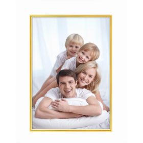 DEBEX Wechselrahmen 21x29,7cm 727002-210X2 Kunststoff gold
