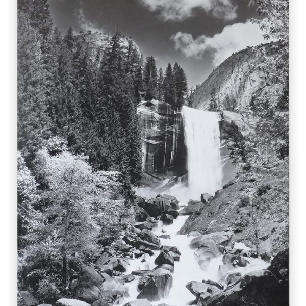 DEBEX Posterleisten 31x2cm LEMG 31 Eiche, magnetisch