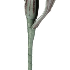 EGLO Kunstblume MOLAVE 428125 beige