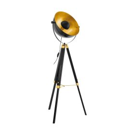 EGLO Stehleuchte COVALEDA 49618 schwarz