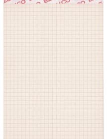 ELCO Notizblock kariert 4mm A5 73312.27 grau recycling 65g 100 Blatt