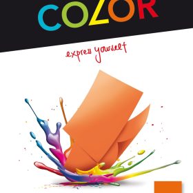ELCO Office Color Papier A4 74616.82 80g, orange 100 Blatt