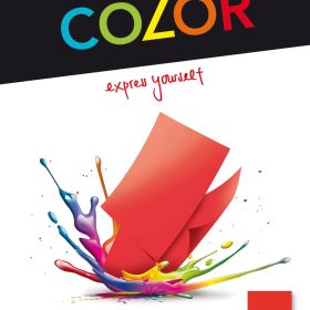 ELCO Office Color Papier A4 74616.92 80g, rot 100 Blatt