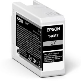 EPSON Tintenpatrone gray T46S700 SureColor SC-P700 26ml