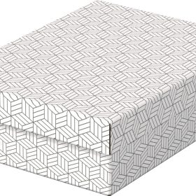 ESSELTE Aufbewahrungsboxen Home M 628284 365x265x100mm, weiss 3 Stk