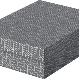 ESSELTE Aufbewahrungsboxen Home M 628285 365x265x100mm, grau 3 Stk