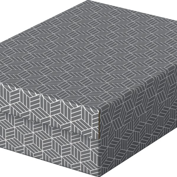 ESSELTE Aufbewahrungsboxen Home M 628285 365x265x100mm, grau 3 Stk