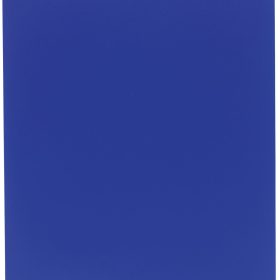 EXACOMPTA Sichtbuch A4 85102E blau 100 Taschen
