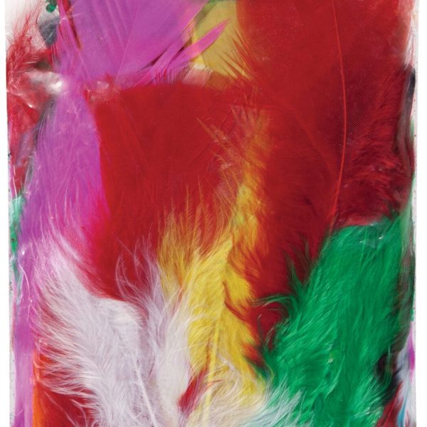 FOLIA Flauschfedern 10g 53019 Farbig Sortiert