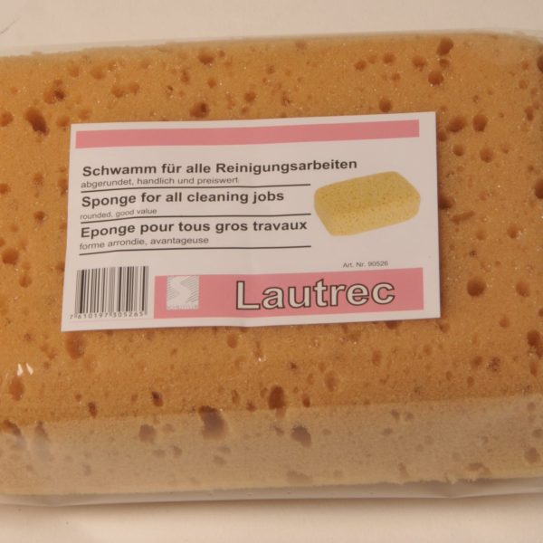 FRINA Schwamm Kunststoff 16x11x6cm 905.26 gelb