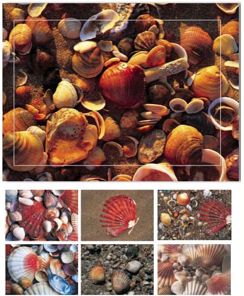 HASCHEMI-104-9783936222036 HASCHEMI Doppelkarten-Box 104 104 MUSCHELN – Hochwertig & günstig bei ShopDeca