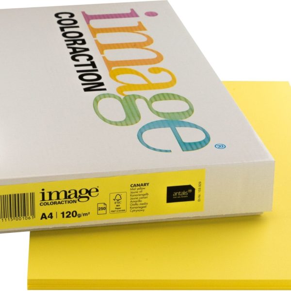IMAGE COLORACTION Kopierpapier Canary A4 266647 kanariengelb, 120g 250 Blatt