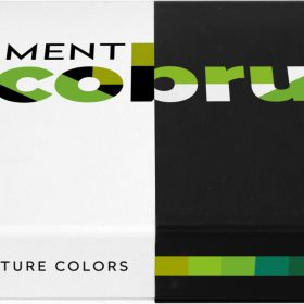 KARIN Pigment Deco Brush 29C3 Nature Colors Set 12 Farben