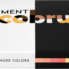 KARIN Pigment Deco Brush 29C4 Nude Colors Set 12 Farben