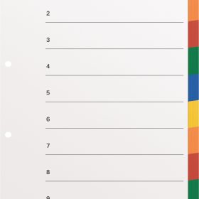 KOLMA Register KolmaFlex A4 18.104.20 mehrfarbig 10-teilig