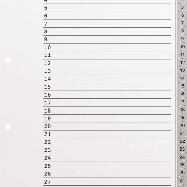 KOLMA Register KolmaFlex A4 18.314.03 grau 1-31