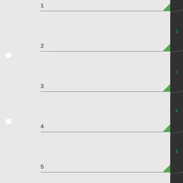 KOLMA Register LineaVerde A4 19.800.06 schwarz 1-6
