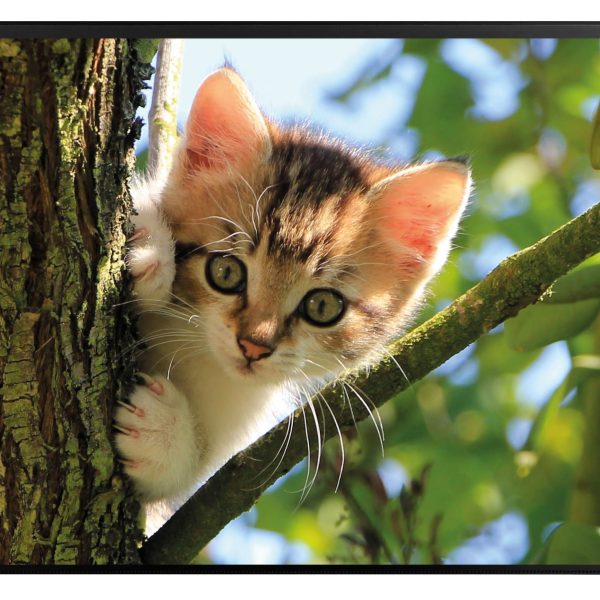 KOLMA Schreibunterlage 35.554.20 Katzenkinder 50x34cm