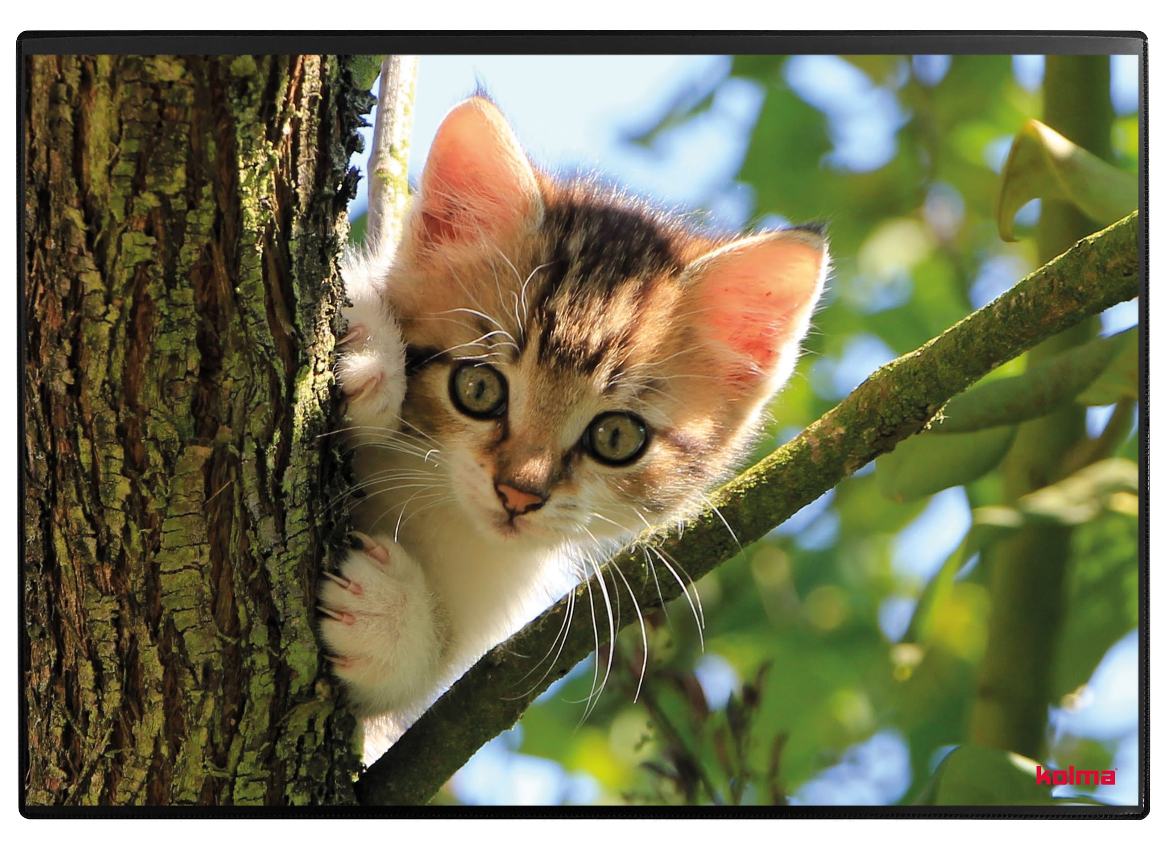 KOLMA-35.554.20-7611967350461 KOLMA Schreibunterlage 35.554.20 Katzenkinder 50x34cm – Hochwertig & günstig bei ShopDeca