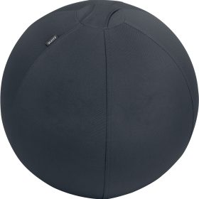 LEITZ Sitzball Ergo Active 55cm 6541-00-89 grau