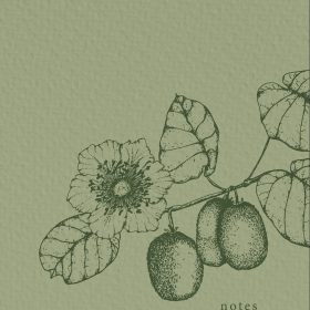 NATUR VERLAG Notizbuch Crushpaper A5 11007N Kiwi Mono, dotted