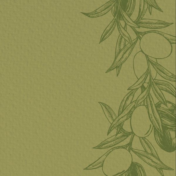 NATUR VERLAG Notizbuch Crushpaper A5 11010N Olive Mono, dotted