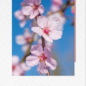 NATUR VERLAG Notizbuch Crushpaper A5 11018N Mandel Foto, dotted