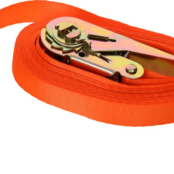 NEUTRAL Spanngurte 5m 25.07.935.00.350 mit Ratsche